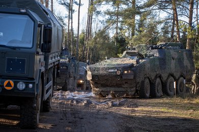 From the battlegroup to brigade — photo 2