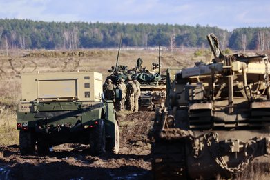 From the battlegroup to brigade — photo 7