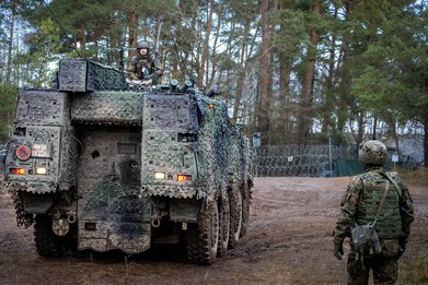 From the battlegroup to brigade — photo 12